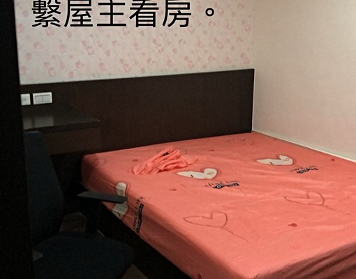 溫馨女性個人套房出租 - Image 6