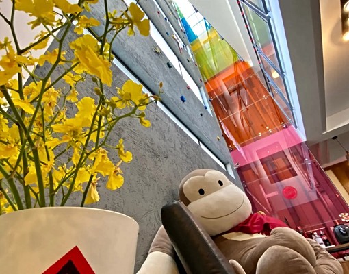 ✨電梯🛗套房🛀出租🪵無印風 - Image 9