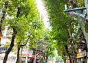新店區-中華路3房2廳，26.6坪