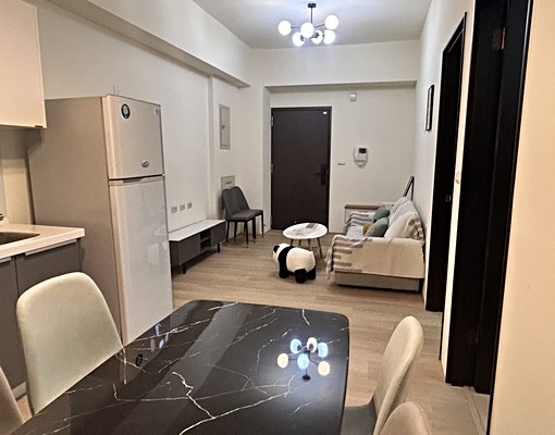 可寵物可租補、安南慈興路電梯華廈2房2廳全配拎包入住 - Image 12