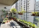 南屯區-向上路五段4房2廳,76.1坪