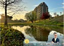 北屯區-昌平五街3房2廳,72.6坪