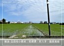 礁溪鄉-玉田段土地，217.8坪