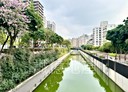 新莊區-中華路二段4房2廳，48.5坪