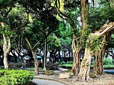 社區圖片