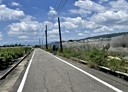 阿蓮區-信義路土地，989.2坪