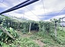 新社區-土地，285.3坪