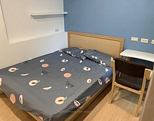 💰補助🐱貓咪友善🌞陽台🗑️垃圾代收 - Image 6