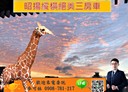 桃園區-經國路3房2廳，82.9坪