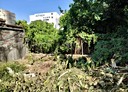 南屯區-土地，622.2坪