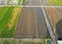 路竹區-土地，1393坪