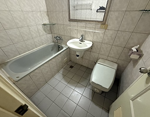 農十六凹子底黃金店面 - Image 14