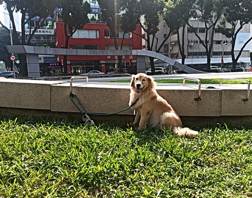 台中市精華區.獨立門牌+洗曬大套房 - Image 2