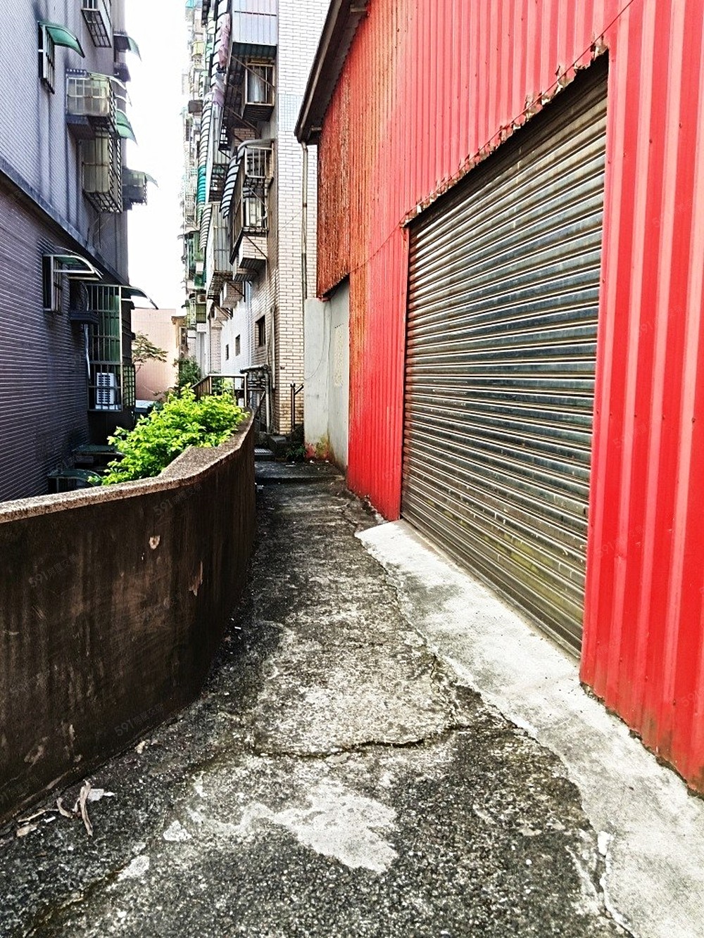 照片