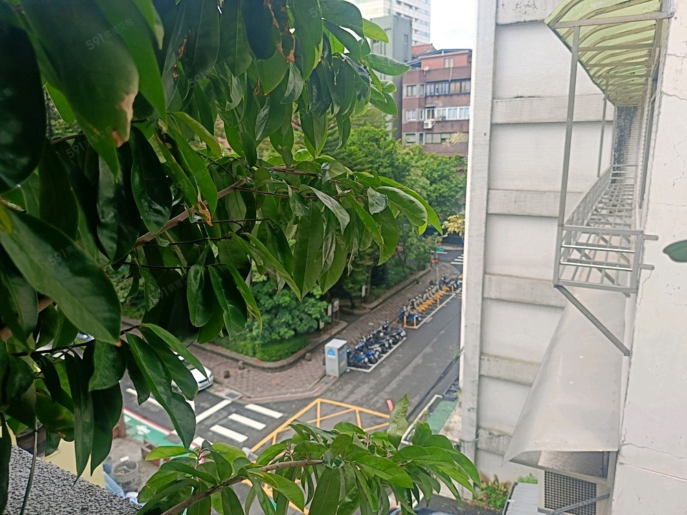 照片