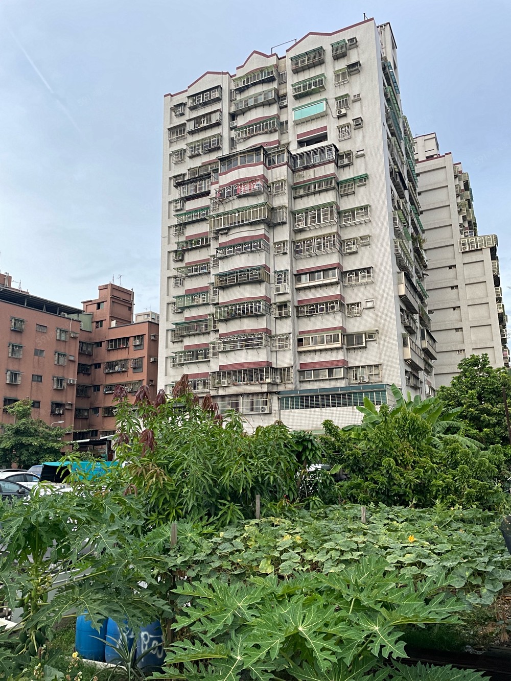 照片