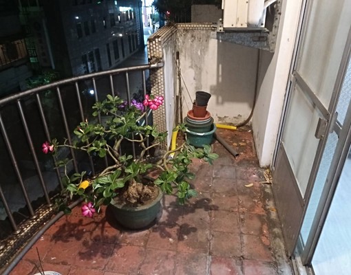 🏅社會住宅/新莊新泰路公寓3房/可租補/可寵/免仲介費✨ - Image 3