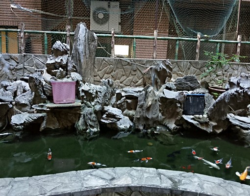 方正3房雙衛3陽台 - Image 13