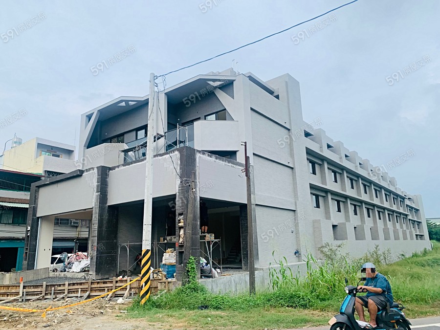 霖宏-大墅武極2實景圖