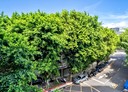 松山區-富錦街3房2廳，35.2坪