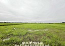 柳營區-土地，965.9坪