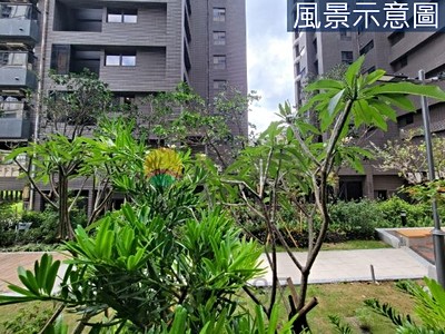 社區圖片