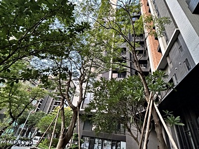 大硯九+1】116筆成交，均價75萬/坪- 591實價登錄