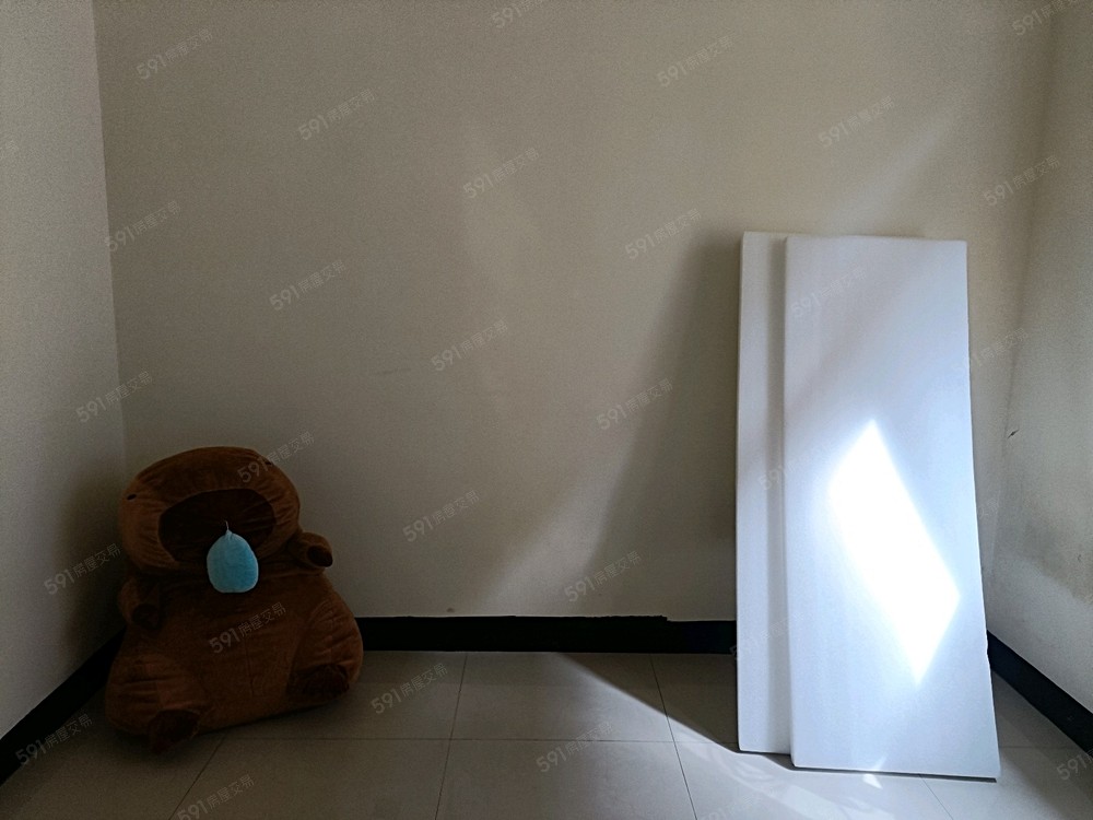 照片