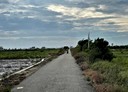 將軍區-土地，510.3坪