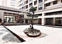 平鎮區-大興街4房2廳，46坪