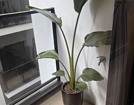 歸仁市區非高鐵區,可寵全新兩房,家俱電齊全,一卡皮箱入住 - 591租屋網 - Image 9