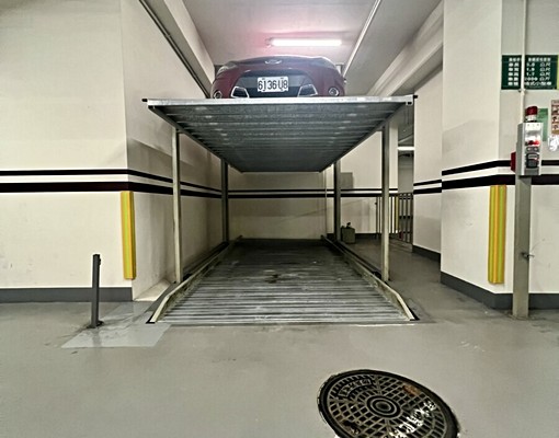 中國醫BOT三月花見三房車可租補入籍可貓 - Image 13