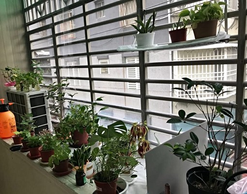 民利街學區房(靜巷)免佣 - Image 13