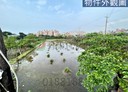 三芝區-土地,185.5坪