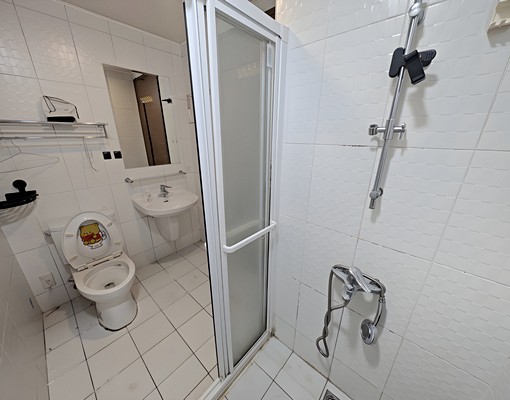 環球市四室附平車*獅子王 - Image 10