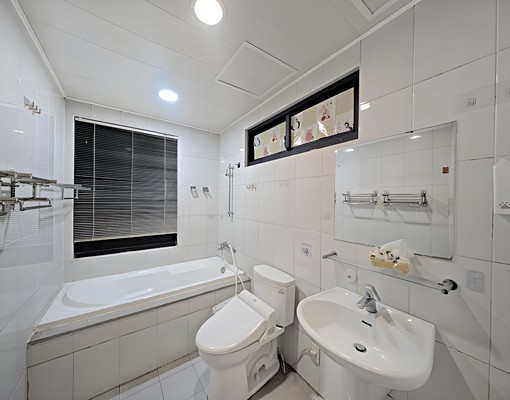 環球市四室附平車*獅子王 - Image 11