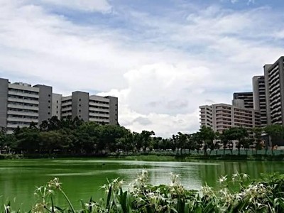 社區圖片