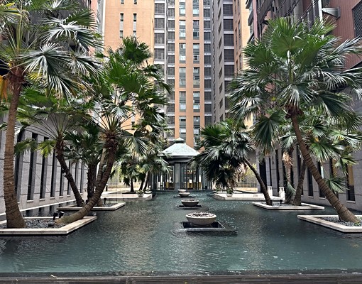 雙車位✨可租補✨可寵物🔥 - Image 1