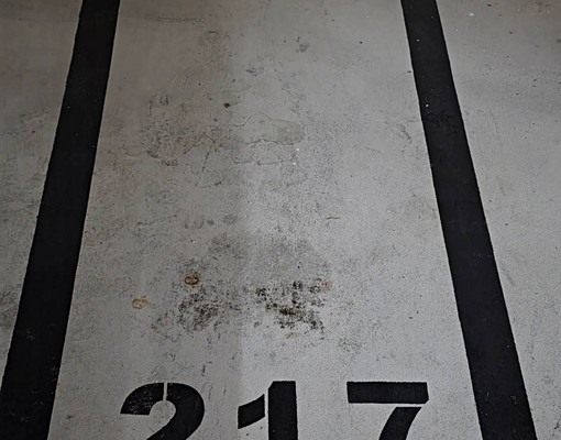 🦈「意志力嚴選｜梧棲佳鋐新邑｜可寵電梯大樓・含平面車位」 - 591租屋網 - Image 15