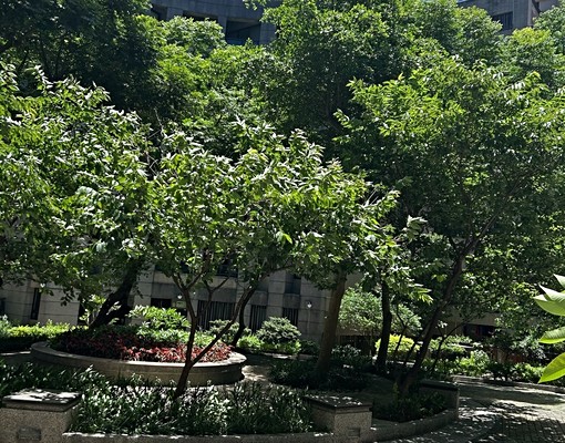 星鴻😊普羅3房+車位（社宅/可租補） - 591租屋網 - Image 9