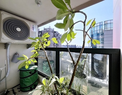 ★可工作室★台水電★管理員★電梯★高樓景★超高檔★可租補★ - Image 3