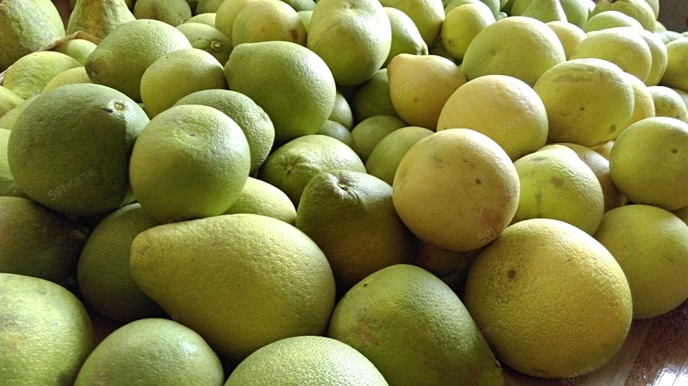 果實纍纍且香甜