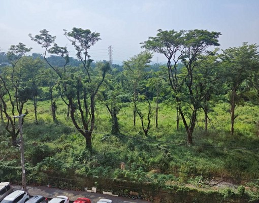 美麗大二房、嘉義大學、可租補。年繳可優惠 - 591租屋網 - Image 9