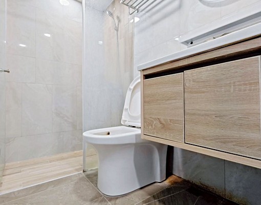 可寵/獨洗曬/首月免租金 - 591租屋網 - Image 11