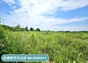 歸仁區-八甲段土地，1066坪