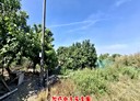 仁德區-土地，327.4坪