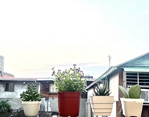 全新整理、台北橋站、可租補、需公證、台電水天然瓦斯、全新冷氣 - Image 10