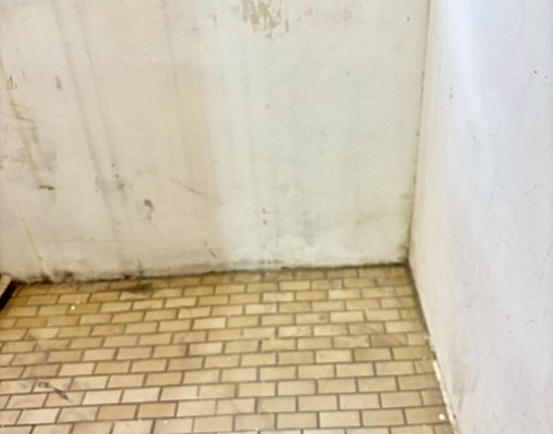 意志力💠文心崇德捷運3房❣️可寵/可租補/免服務費/欣 - Image 3