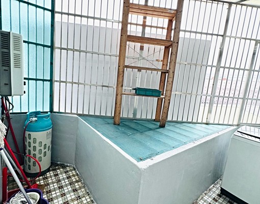 鶯歌區鶯桃路一層一戶出租 - Image 11