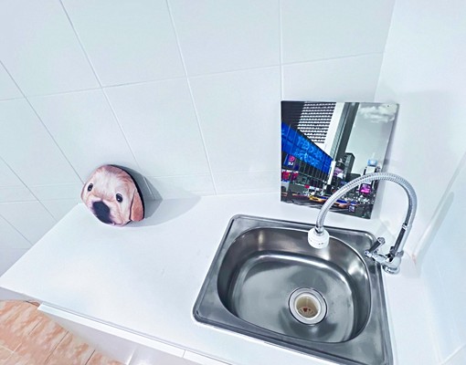 可養寵🦕平價出租🦕板橋站|高端寓所 - Image 6